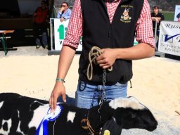 2019_ausstellung polling_454